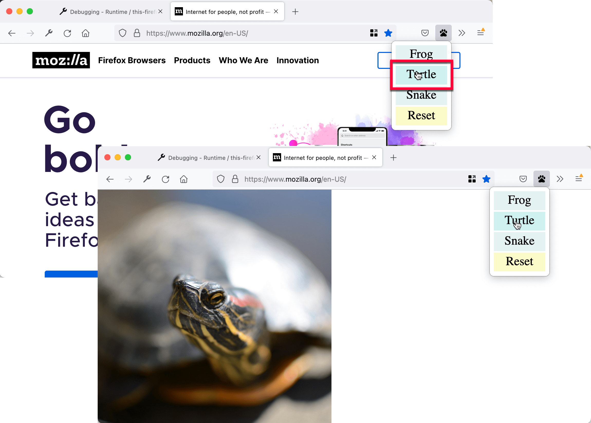 Una página reemplazada con el imagen de una tortuga