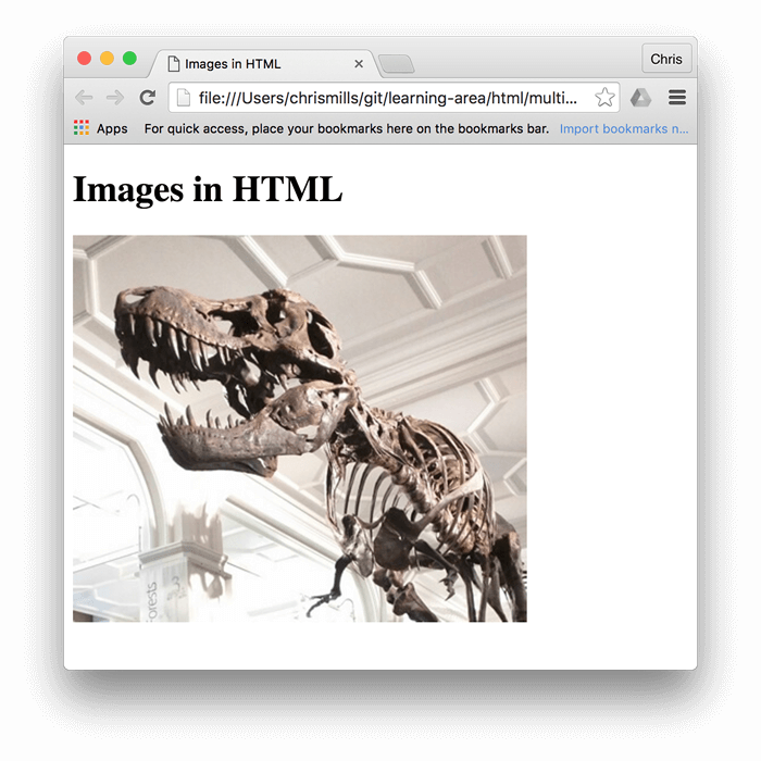 一个嵌入到浏览器中的恐龙基本图像,上面写着“Images in HTML”