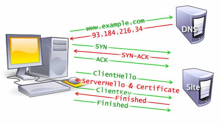 DNS 查询、TCP 握手和 TLS 5 步握手(包括服务器和客户端之间的 clienthello、serverhello 以及证书、clientkey 和完成消息)。